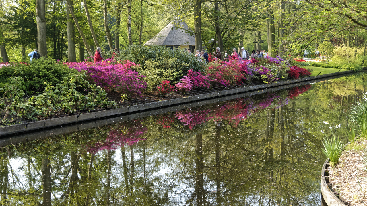 20140423 101936 Keukenhof Gardens, Lisse, South Holland, Netherlands